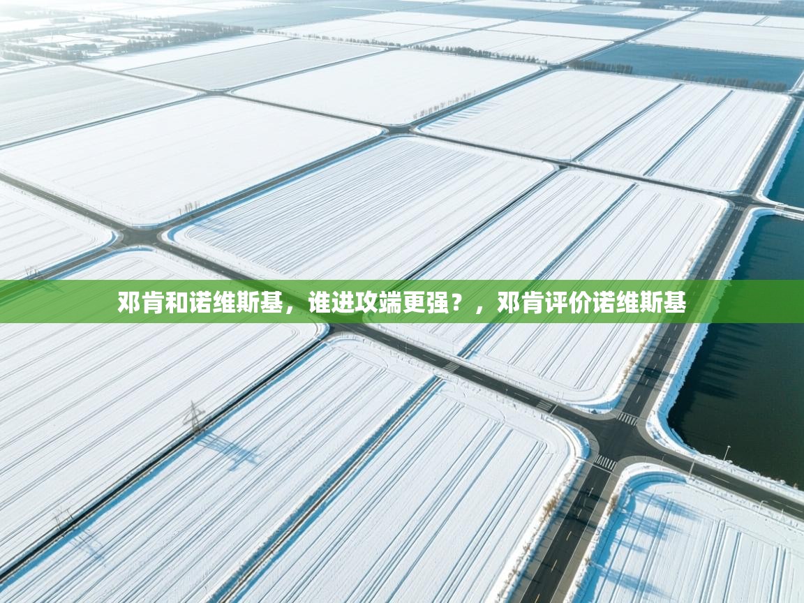 开云体育直播-邓肯和诺维斯基，谁进攻端更强？，邓肯评价诺维斯基