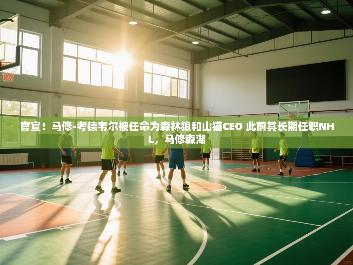 开云体育入口手机版-官宣!马修-考德韦尔被任命为森林狼和山猫CEO 此前其长期任职NHL,马修森湖 第1张