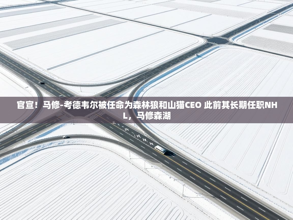 开云体育入口手机版-官宣!马修-考德韦尔被任命为森林狼和山猫CEO 此前其长期任职NHL,马修森湖 第3张