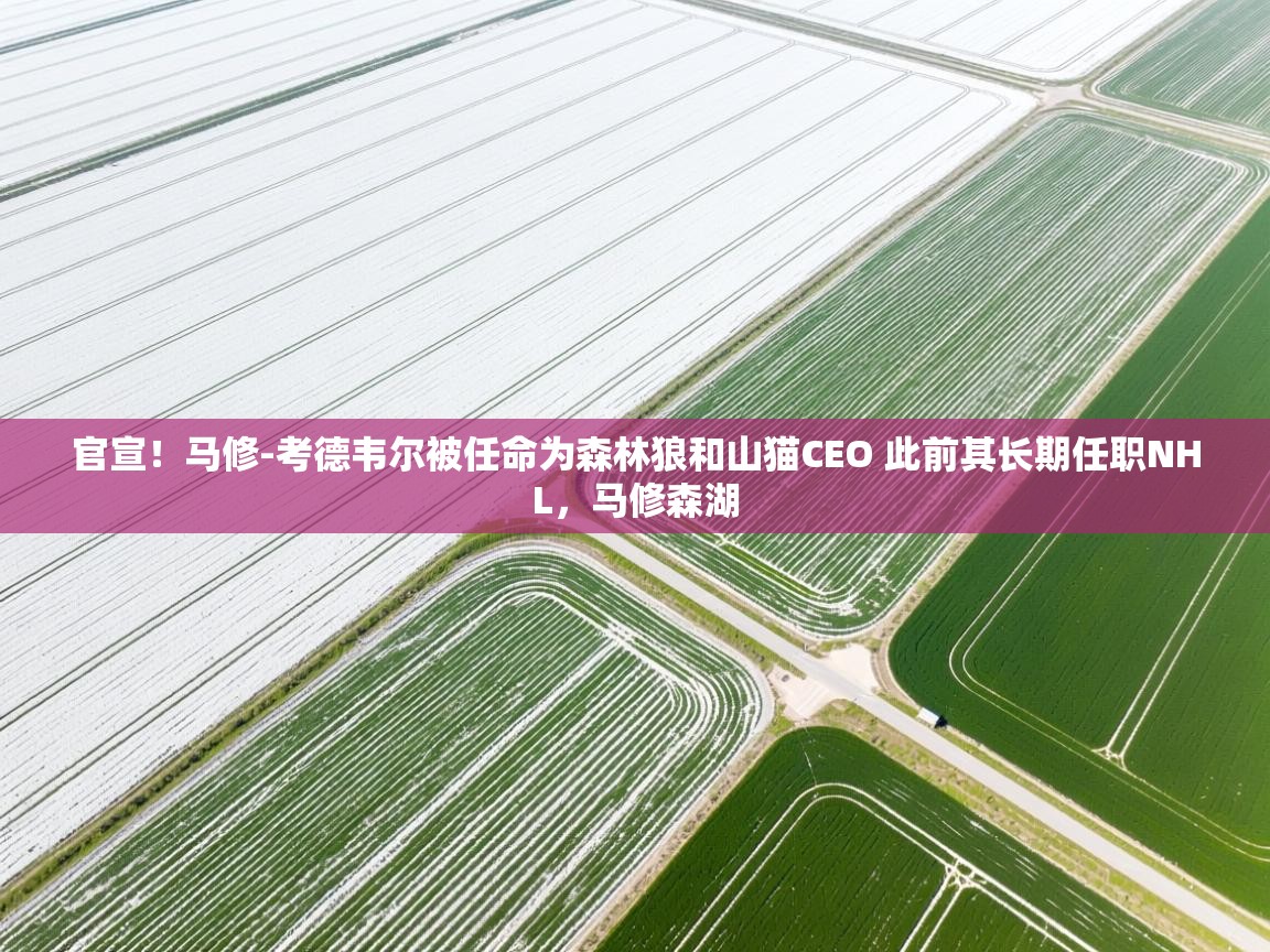 开云体育入口手机版-官宣!马修-考德韦尔被任命为森林狼和山猫CEO 此前其长期任职NHL,马修森湖 第4张