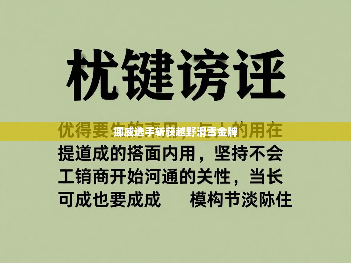 开云体育在线下载-挪威选手斩获越野滑雪金牌