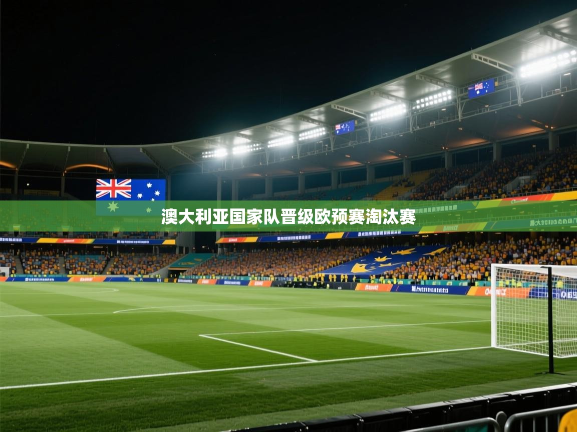开云注册-澳大利亚国家队晋级欧预赛淘汰赛 第1张