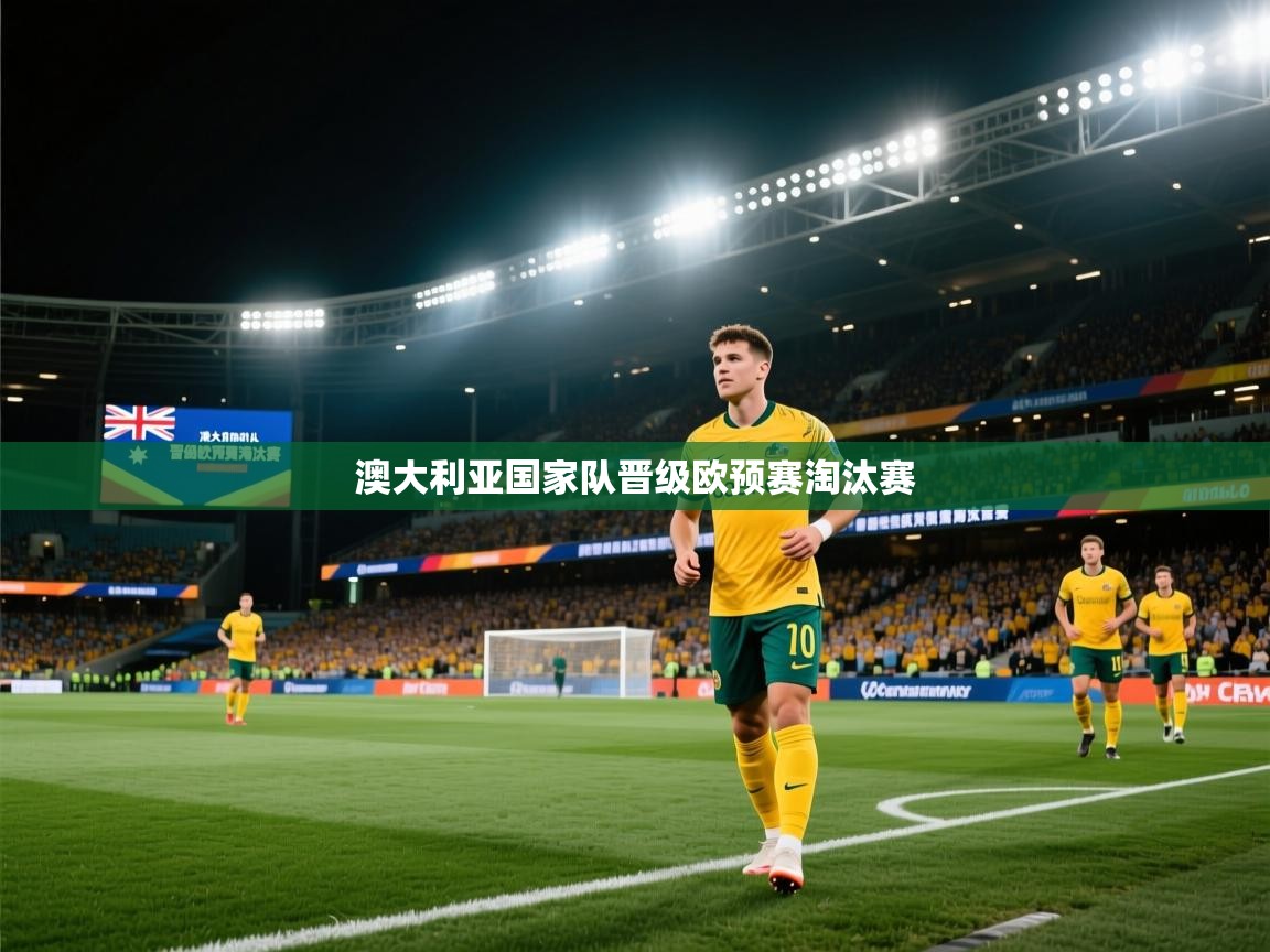 开云注册-澳大利亚国家队晋级欧预赛淘汰赛 第2张