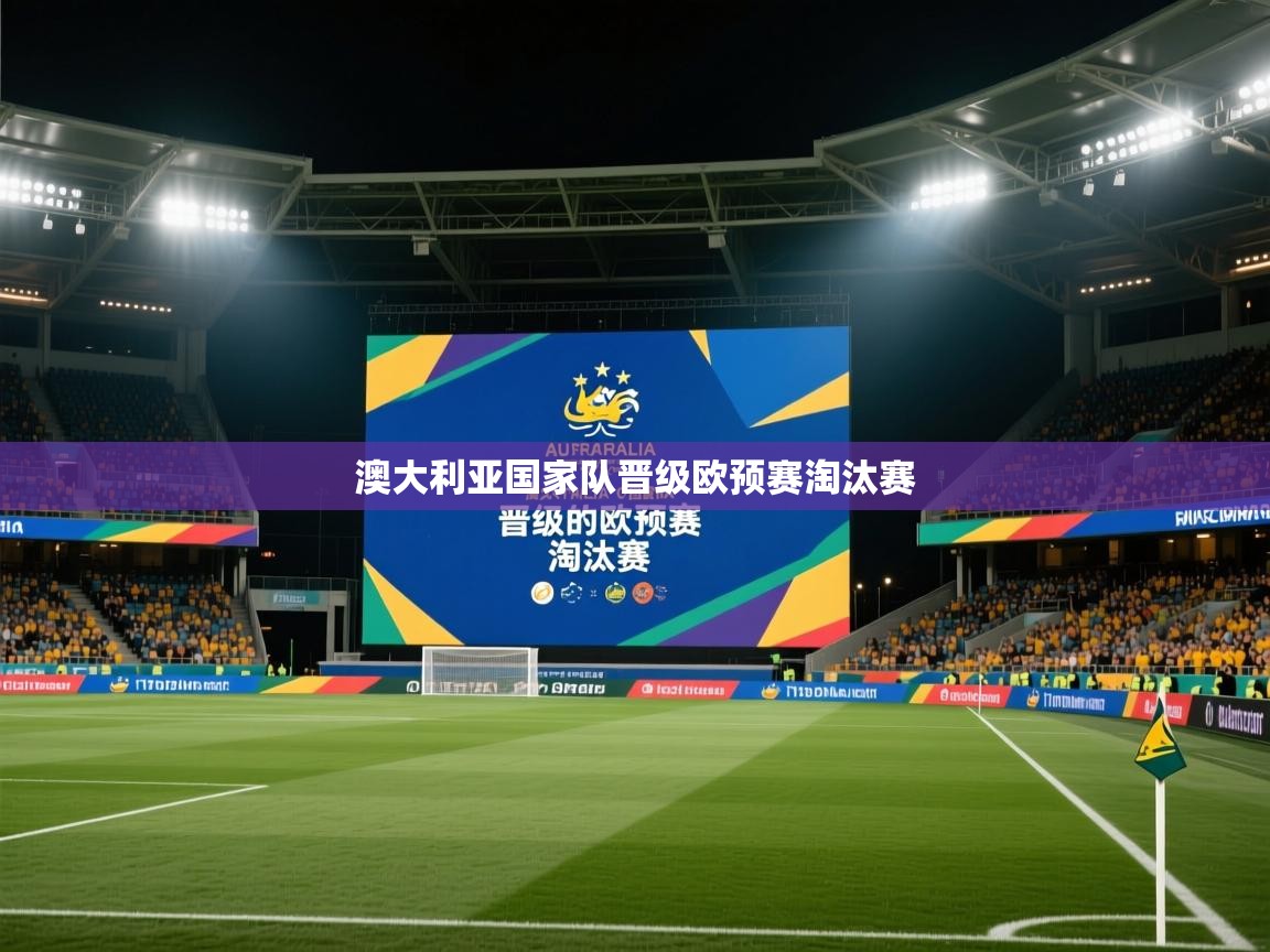 开云注册-澳大利亚国家队晋级欧预赛淘汰赛 第3张